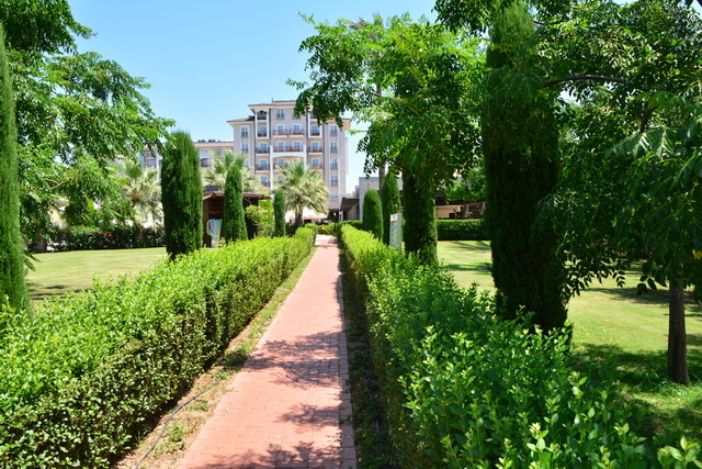 2016 06 22 SunisElita 053