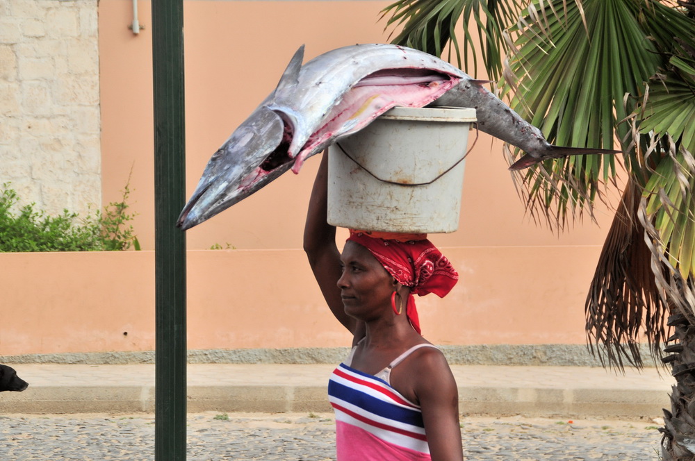 2017 04 17 Hotel Touareg Kapverden 449