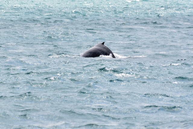 2017 04 17 Touareg 157