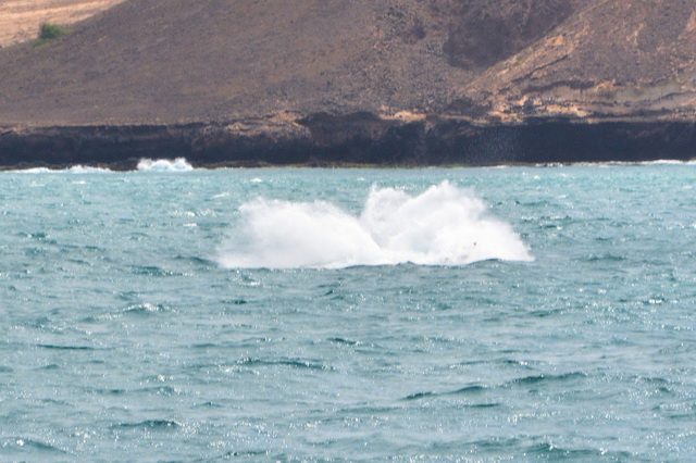 2017 04 17 Touareg 158