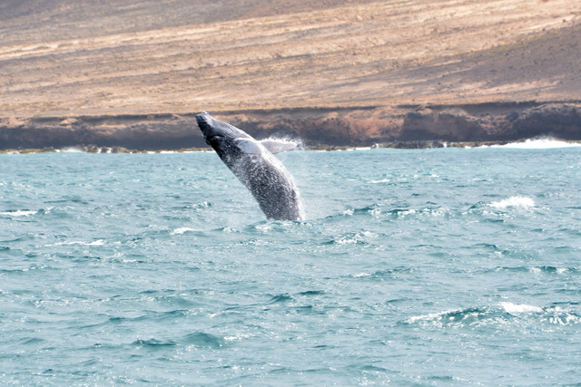 2017 04 17 Touareg 159