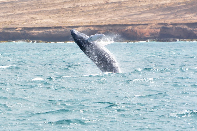 2017 04 17 Touareg 162