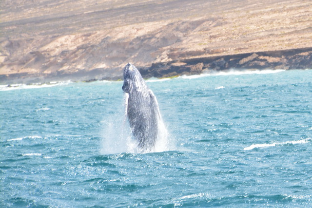 2017 04 17 Touareg 165