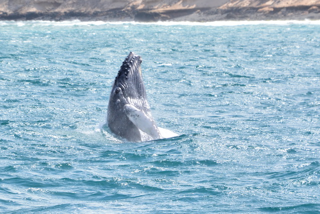 2017 04 17 Touareg 168