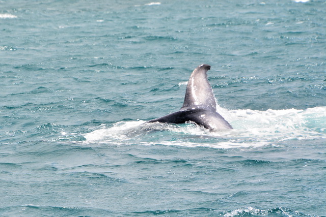 2017 04 17 Touareg 171