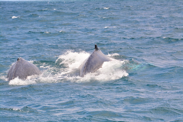 2017 04 17 Touareg 180