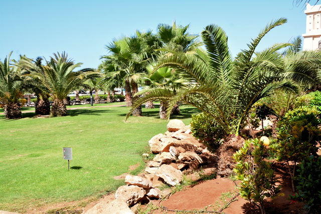 2017 04 17 Touareg 218