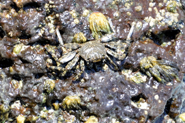 2017 04 17 Touareg 437