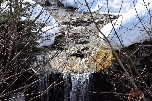 This image for Image Layouts addon