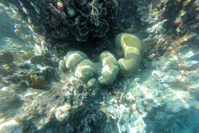 2019 11 14 ABC Insel mit AIDA Perla 088