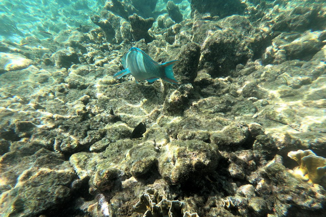 2019 06 16 Hotel Touareg Kapverden 205