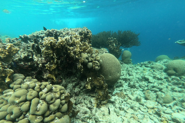 2018 06 26 Kreta Hotel Aphrodite Beach 045