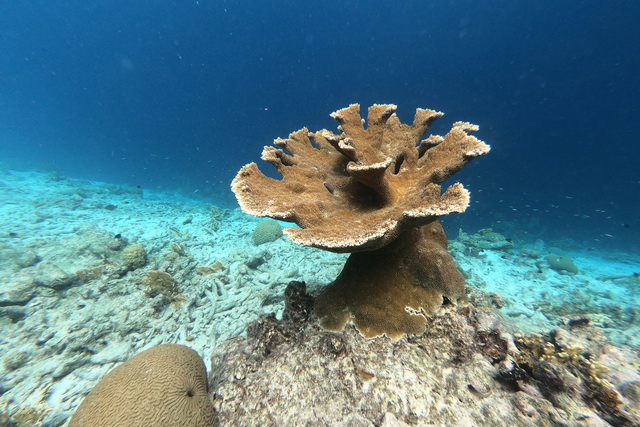 2018 06 26 Kreta Hotel Aphrodite Beach 074