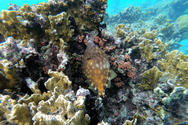 2019 11 14 ABC Insel mit AIDA Perla 087