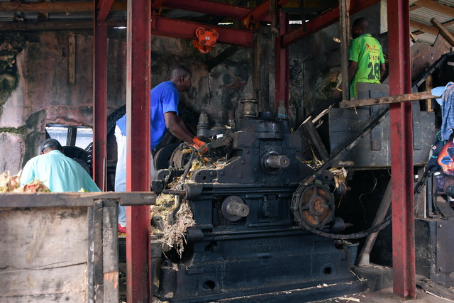 2019 11 14 ABC Insel mit AIDA Perla 190