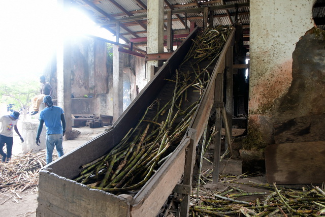 2019 11 14 ABC Insel mit AIDA Perla 191