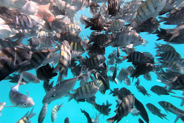 2019 06 16 Hotel Touareg Kapverden 205