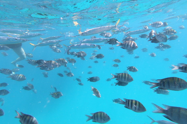 2018 03 24 Embach Sporthotel 126