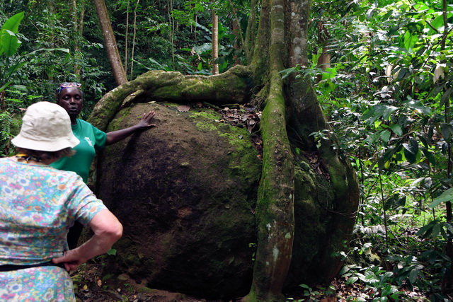 2019 11 14 ABC Insel mit AIDA Perla 418