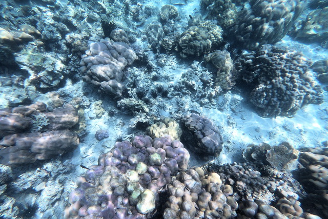 2019 03 03 AIDA Asien 059