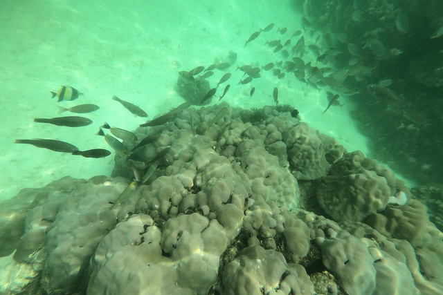 2019 03 03 AIDA Asien 070