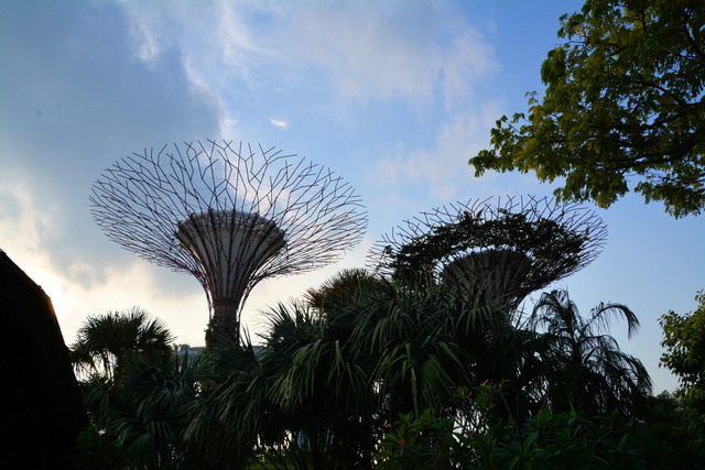 2019 03 03 AIDA Asien 059