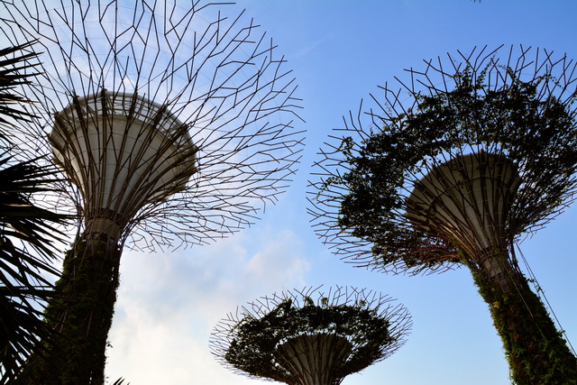 2019 03 03 AIDA Asien 070