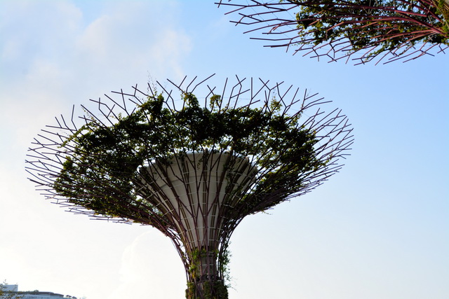 2019 03 03 AIDA Asien 164