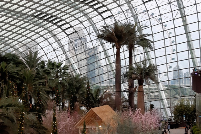 2019 03 03 AIDA Asien 172