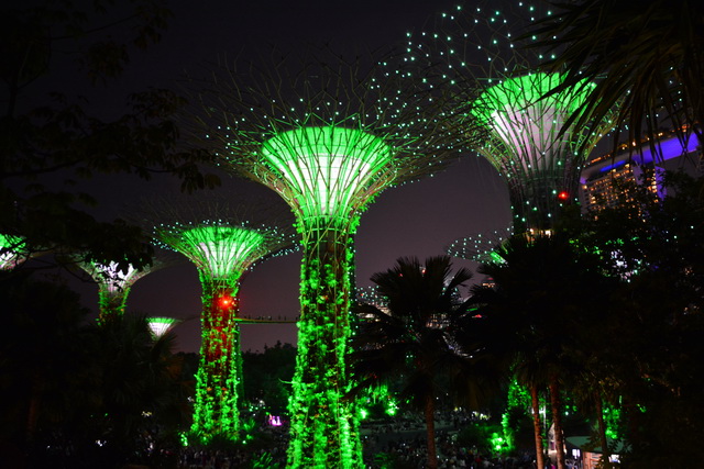 2019 03 03 AIDA Asien 057