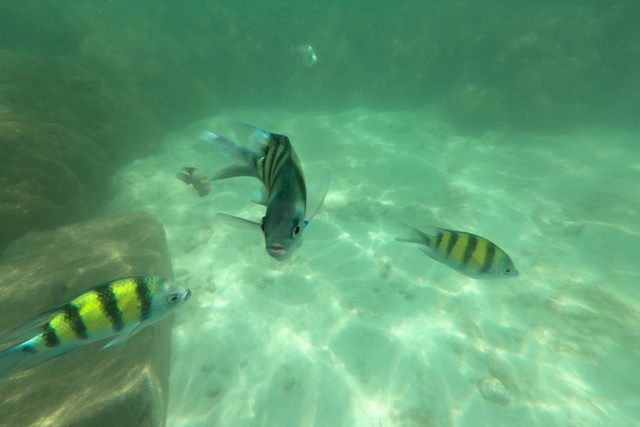 2019 03 03 AIDA Asien 282