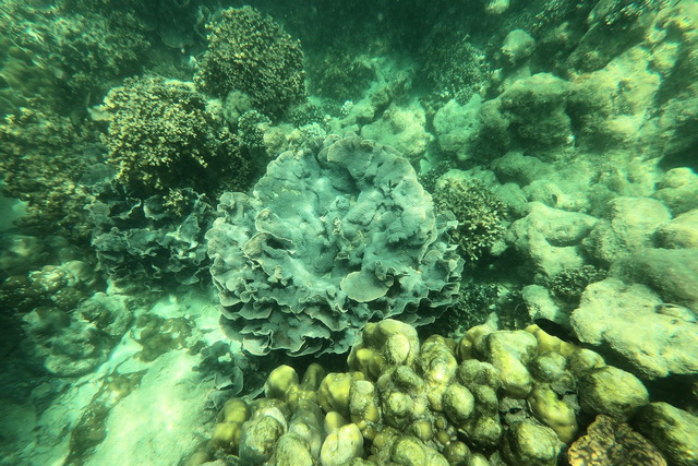 2019 03 03 AIDA Asien 283