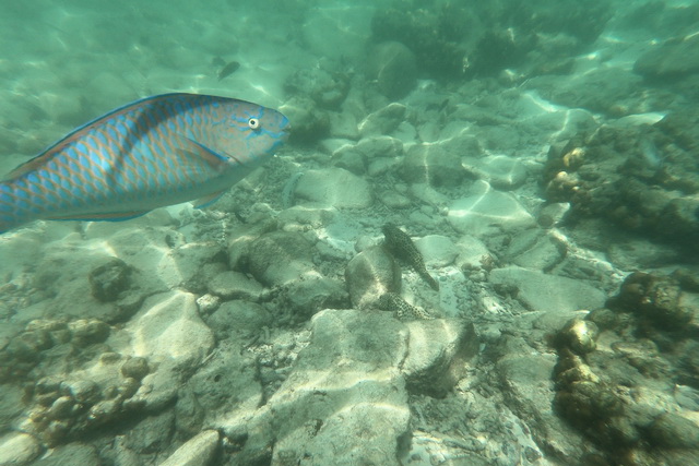 2019 03 03 AIDA Asien 284