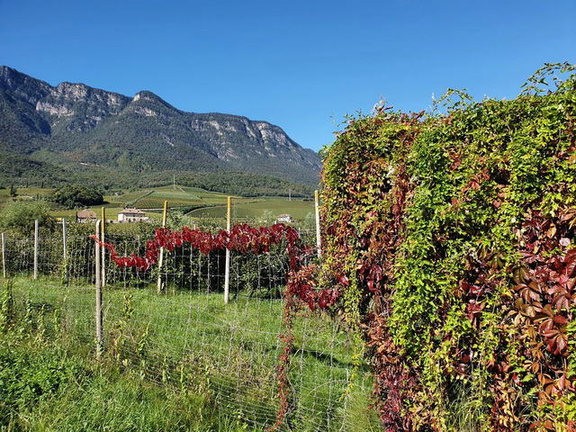 2020 10 06 Hotel Maximilian Meran 027