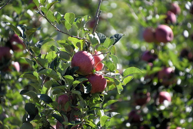 2020 10 06 Hotel Maximilian Meran 030