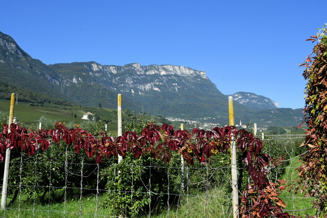 2020 10 06 Hotel Maximilian Meran 039