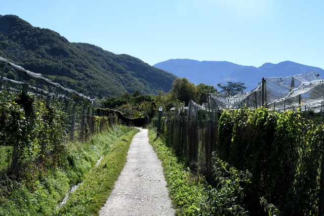 2020 10 06 Hotel Maximilian Meran 040