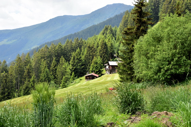 2020 06 20 Hotel Platzlhof Zillertal 078
