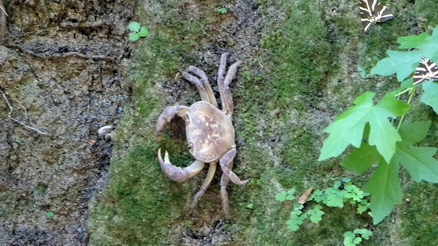 2020 07 23 Hotel Labranda Blue Bay Rhodos 116