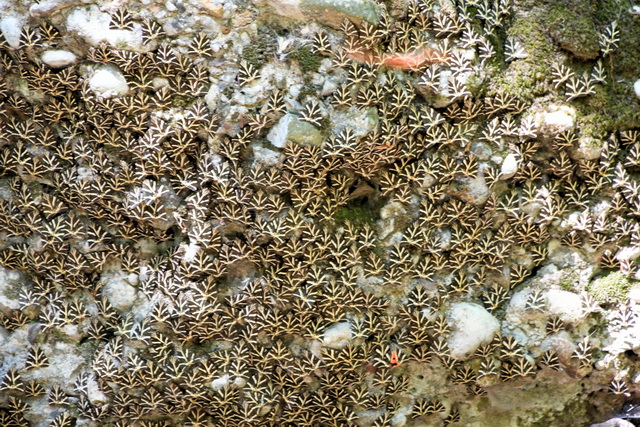 2020 07 23 Hotel Labranda Blue Bay Rhodos 118