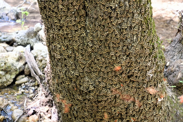 2020 07 23 Hotel Labranda Blue Bay Rhodos 122
