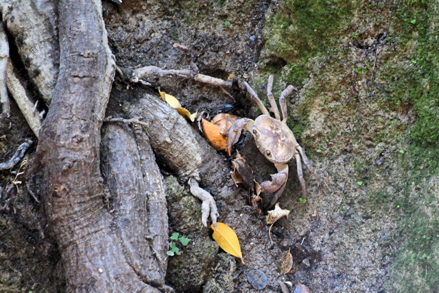 2020 07 23 Hotel Labranda Blue Bay Rhodos 129