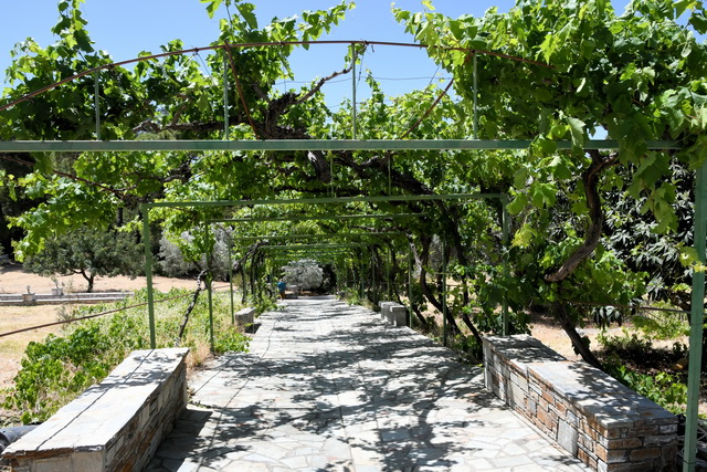 2021 05 22 Hotel Mitsis Alila Rhodos 034