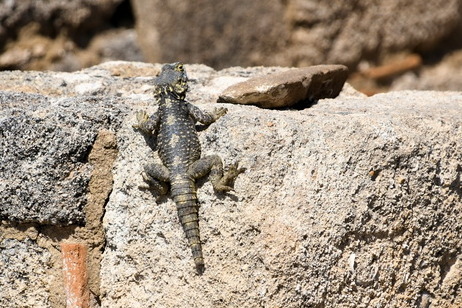 2021 05 22 Hotel Mitsis Alila Rhodos 242