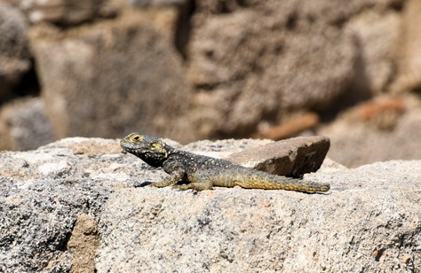 2021 05 22 Hotel Mitsis Alila Rhodos 244