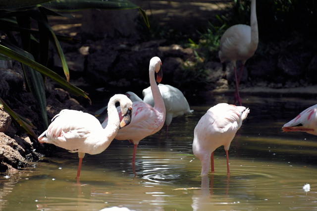 2020 10 06 Hotel Maximilian Meran 060