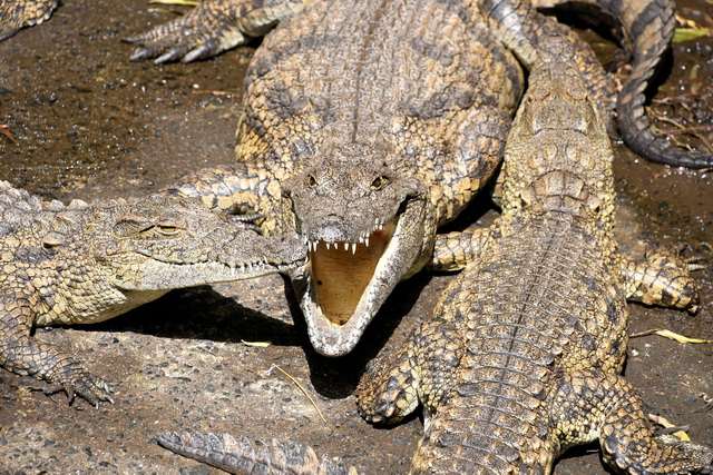 2020 10 06 Hotel Maximilian Meran 062