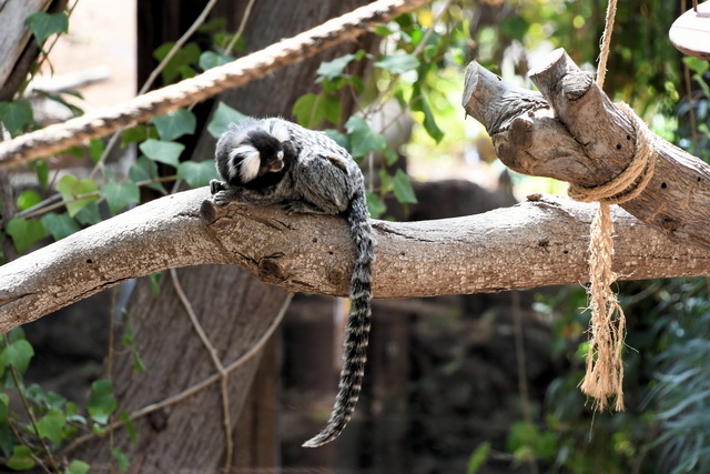 2020 10 06 Hotel Maximilian Meran 066