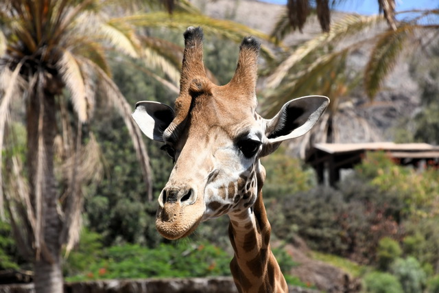 2020 10 06 Hotel Maximilian Meran 075