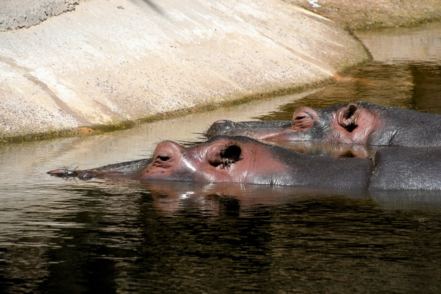 2021 08 06 Hotel Rio Calma Fuerteventura 147